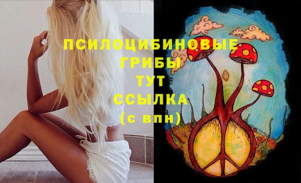 дмт Надым