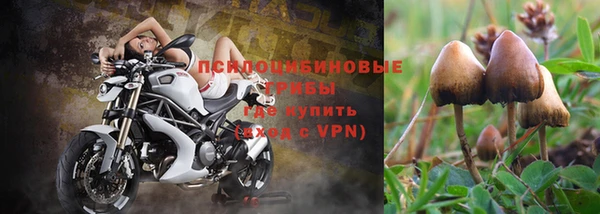 ALPHA-PVP Навашино