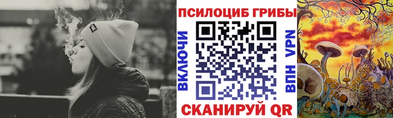 Псилоцибиновые грибы мицелий  Краснозаводск 