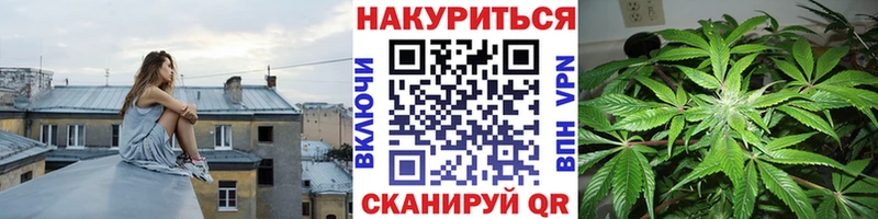 дарнет шоп  Краснозаводск  МАРИХУАНА планчик 